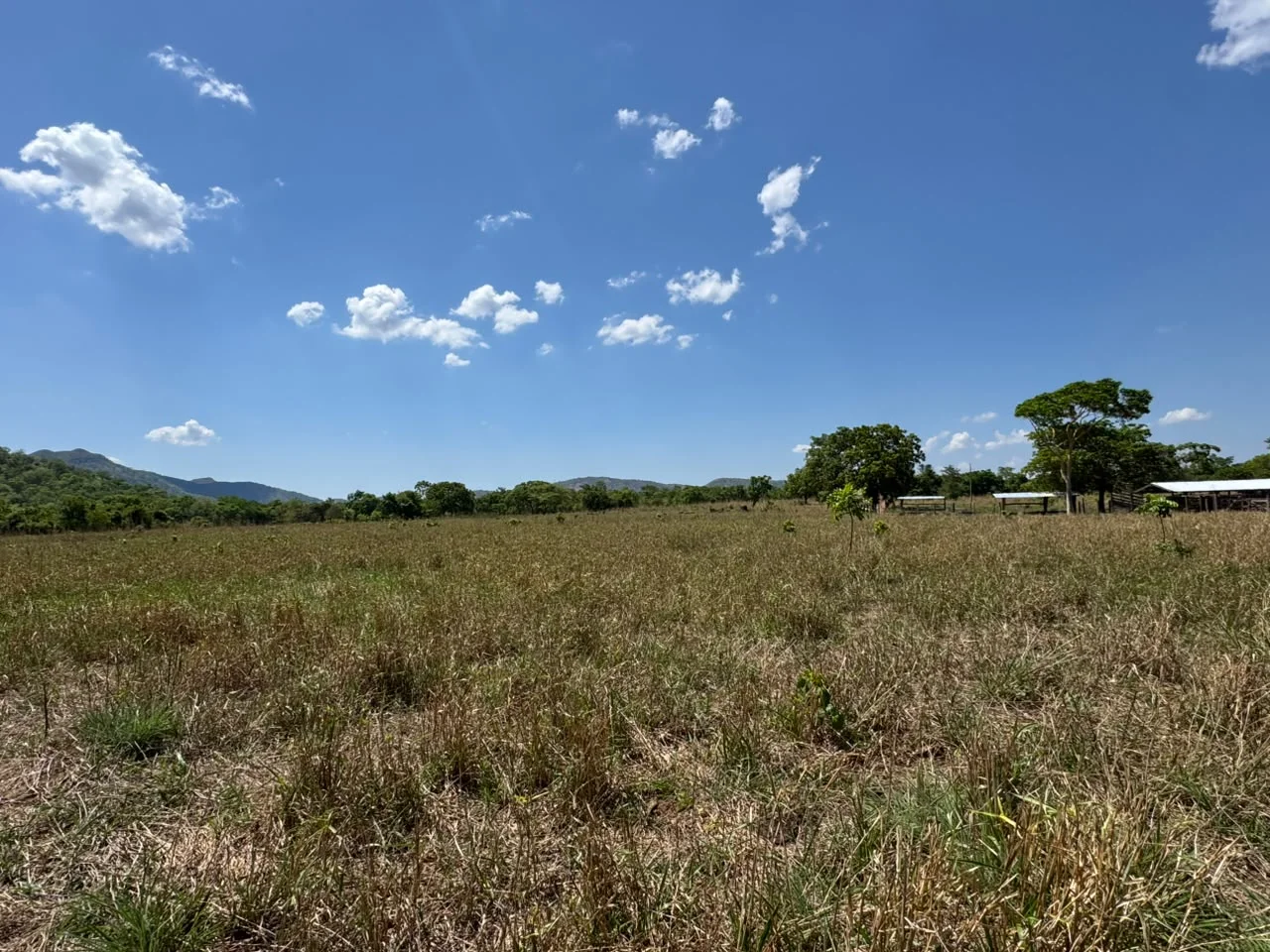🌾 FAZENDA À VENDA – 79,3 HECTARES, ENTRE PALMAS E PORTO NACIONAL/TO — Miniatura 9