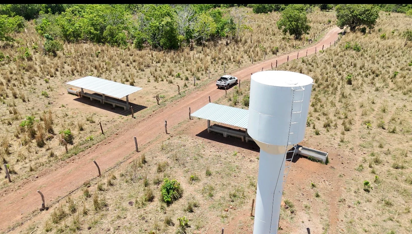 🌾 FAZENDA À VENDA – 79,3 HECTARES, ENTRE PALMAS E PORTO NACIONAL/TO — Miniatura 2