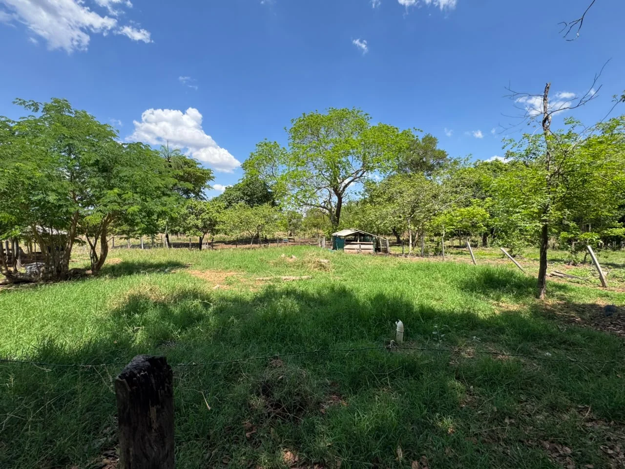 🌾 FAZENDA À VENDA – 79,3 HECTARES, ENTRE PALMAS E PORTO NACIONAL/TO — Miniatura 10