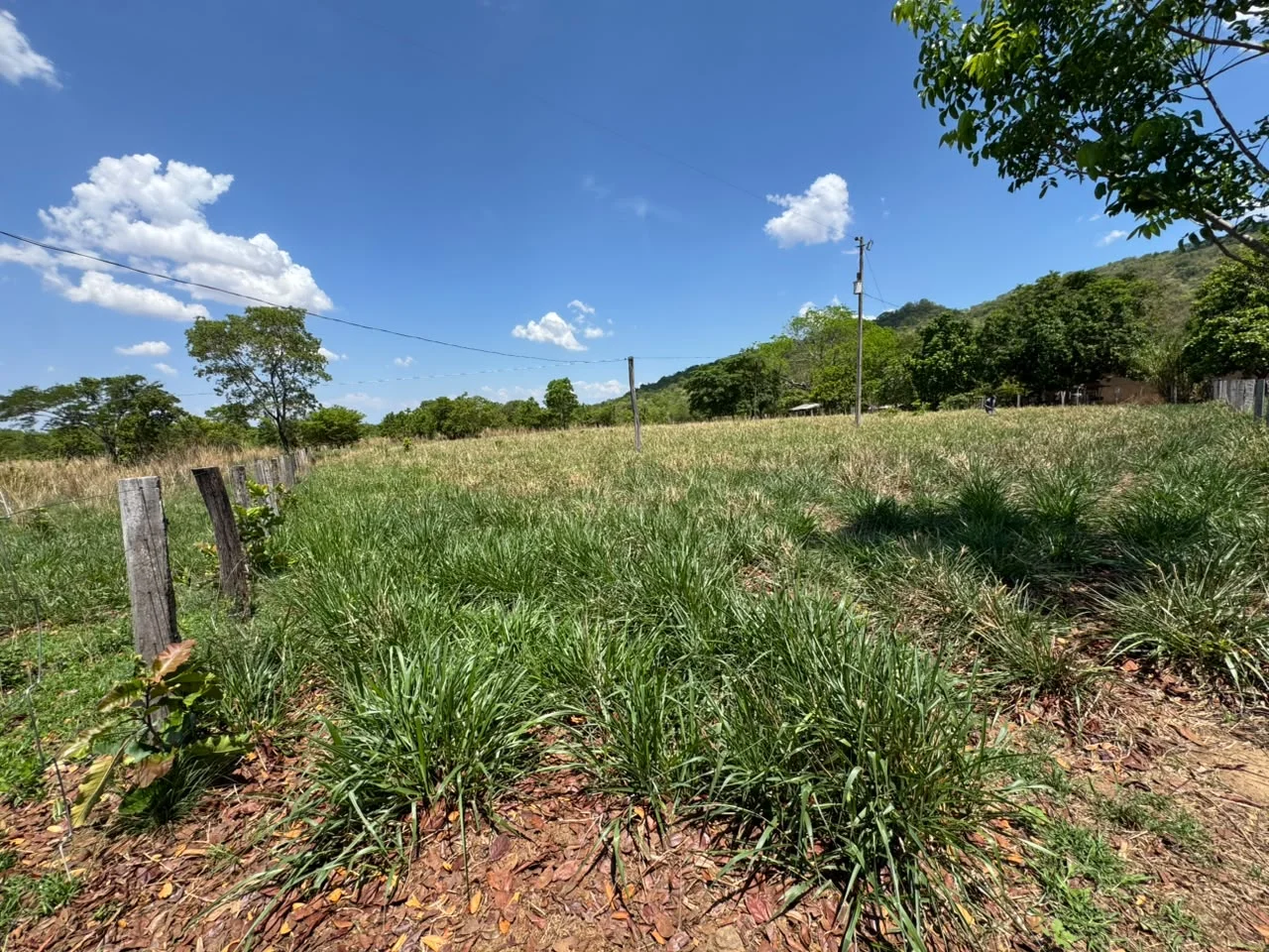 🌾 FAZENDA À VENDA – 79,3 HECTARES, ENTRE PALMAS E PORTO NACIONAL/TO — Miniatura 11