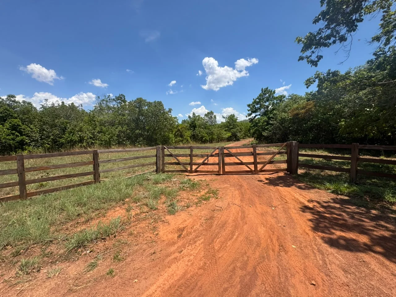 🌾 FAZENDA À VENDA – 79,3 HECTARES, ENTRE PALMAS E PORTO NACIONAL/TO — Miniatura 23