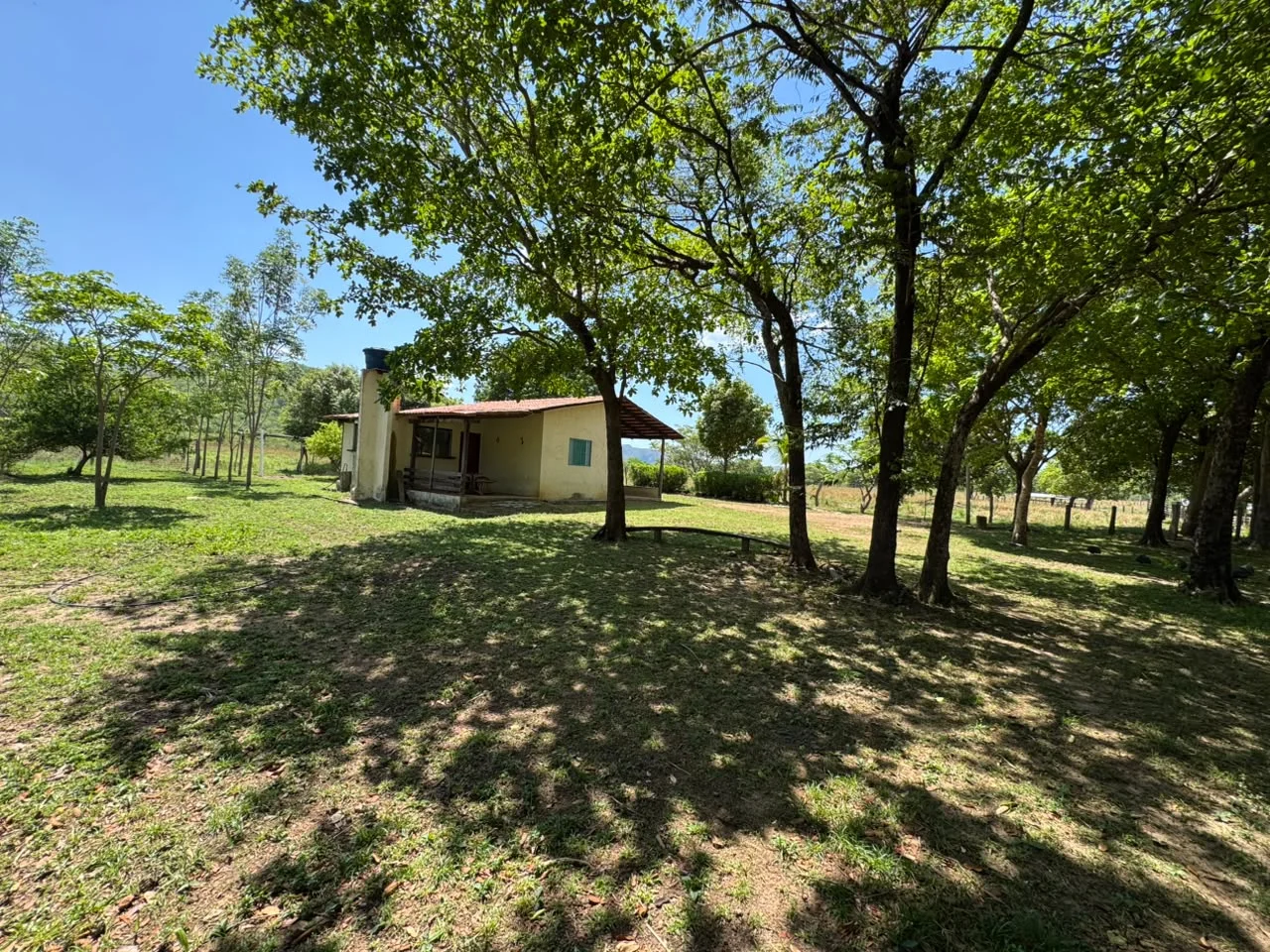 🌾 FAZENDA À VENDA – 79,3 HECTARES, ENTRE PALMAS E PORTO NACIONAL/TO — Miniatura 6