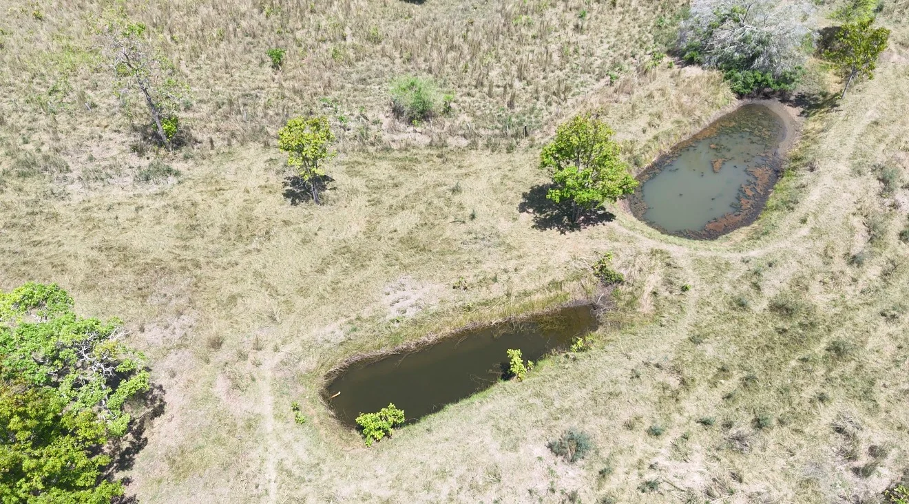 🌾 FAZENDA À VENDA – 79,3 HECTARES, ENTRE PALMAS E PORTO NACIONAL/TO — Miniatura 3
