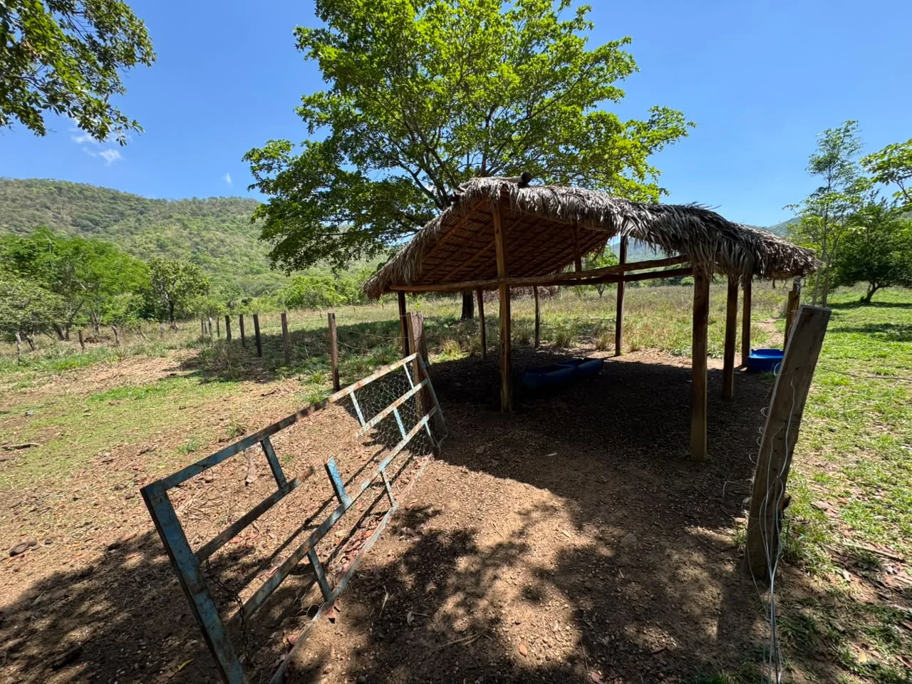 🌾 FAZENDA À VENDA – 79,3 HECTARES, ENTRE PALMAS E PORTO NACIONAL/TO — Miniatura 22