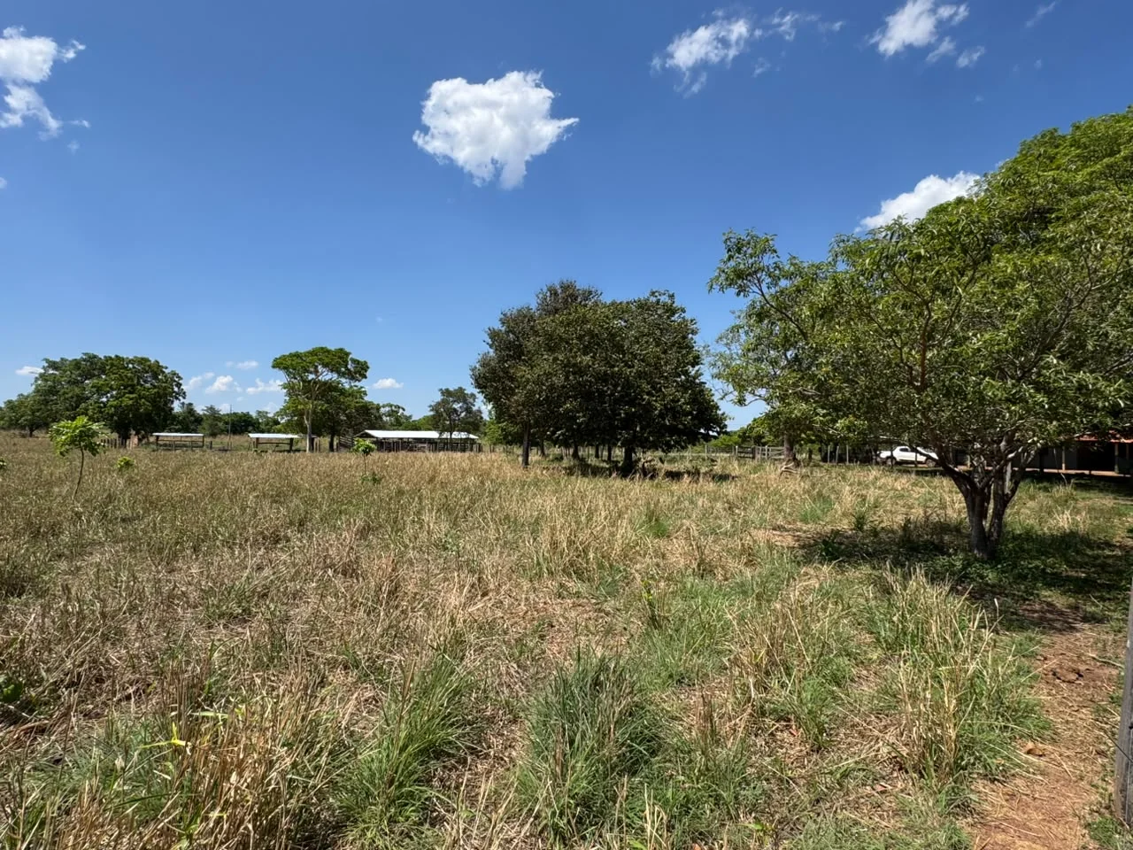 🌾 FAZENDA À VENDA – 79,3 HECTARES, ENTRE PALMAS E PORTO NACIONAL/TO — Miniatura 14