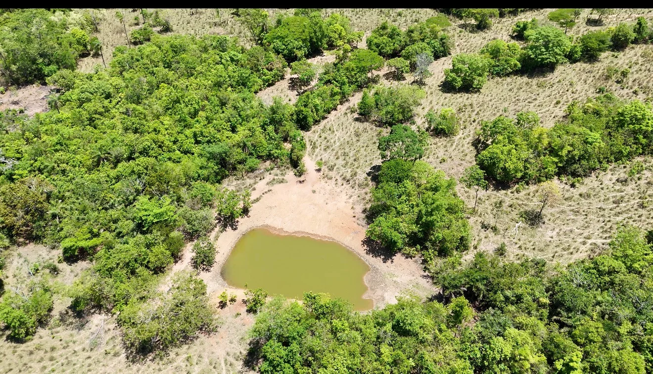 🌾 FAZENDA À VENDA – 79,3 HECTARES, ENTRE PALMAS E PORTO NACIONAL/TO — Miniatura 4