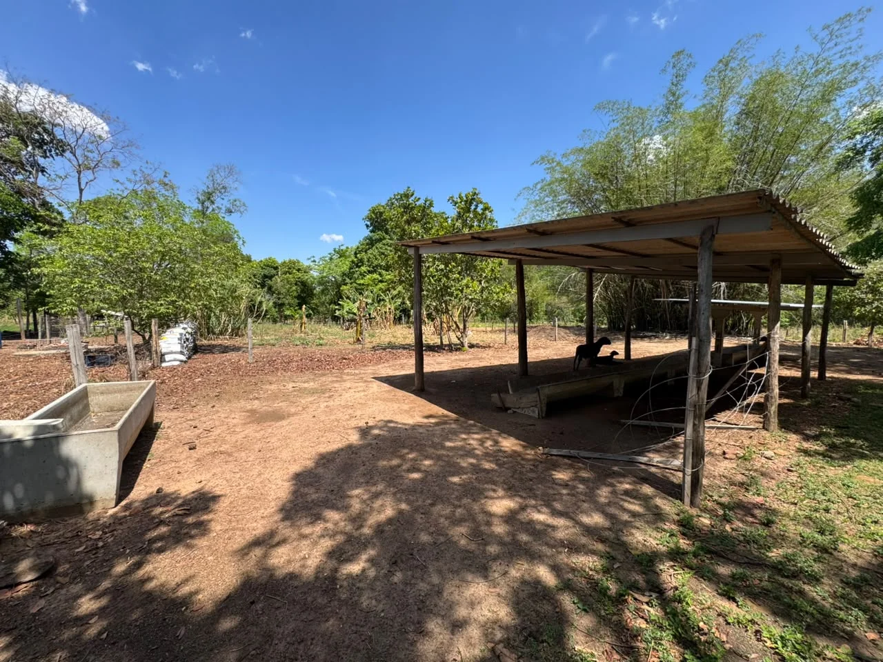 🌾 FAZENDA À VENDA – 79,3 HECTARES, ENTRE PALMAS E PORTO NACIONAL/TO — Miniatura 20