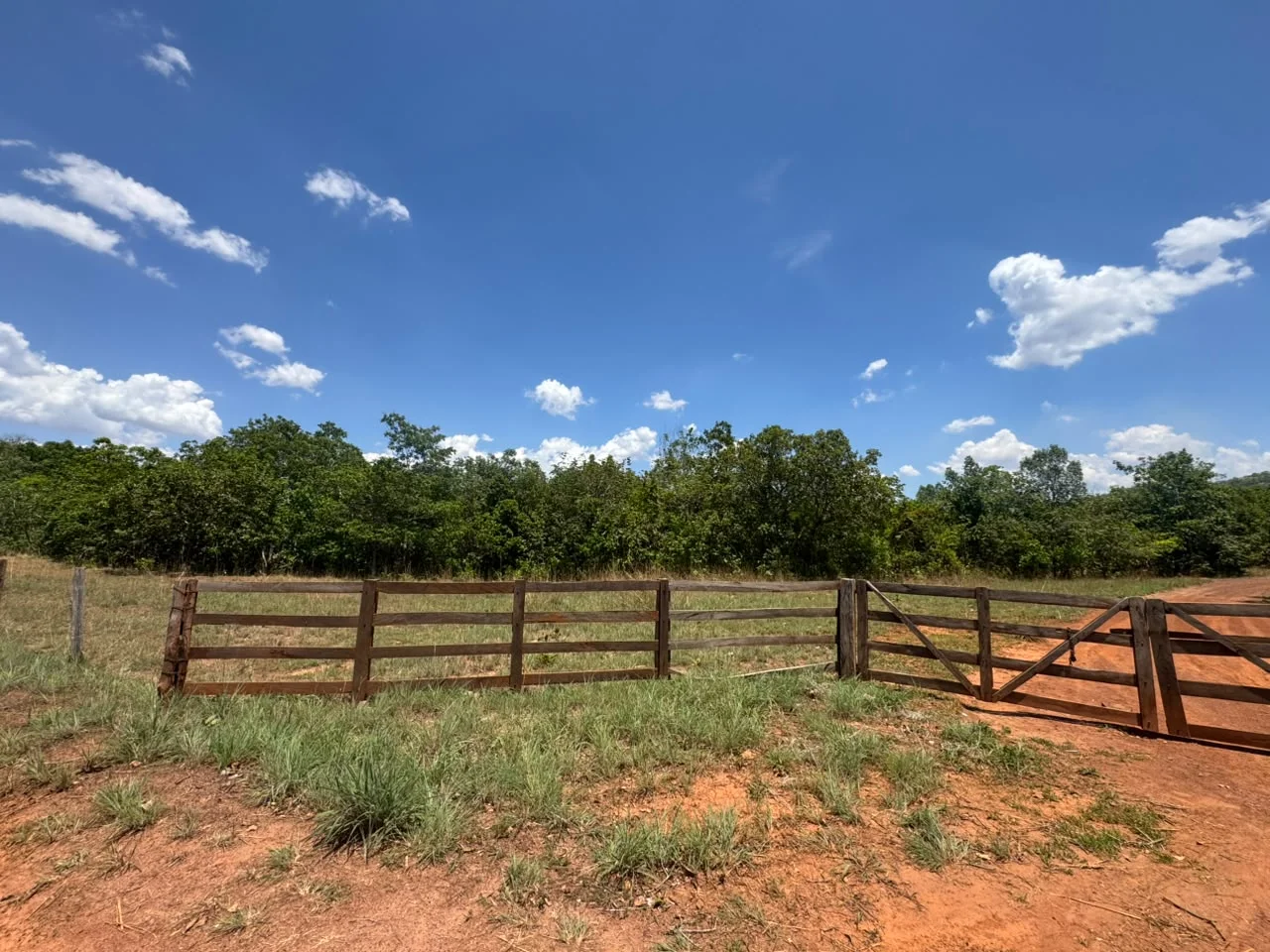 🌾 FAZENDA À VENDA – 79,3 HECTARES, ENTRE PALMAS E PORTO NACIONAL/TO — Miniatura 25