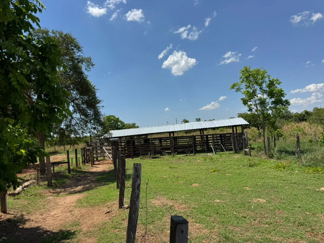 🌾 FAZENDA À VENDA – 79,3 HECTARES, ENTRE PALMAS E PORTO NACIONAL/TO — Miniatura 17