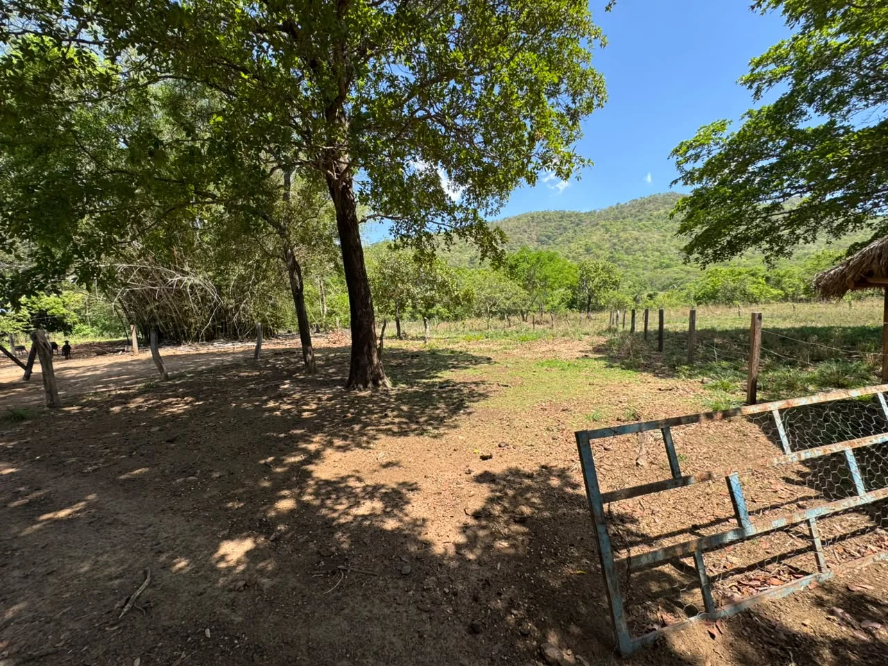 🌾 FAZENDA À VENDA – 79,3 HECTARES, ENTRE PALMAS E PORTO NACIONAL/TO — Miniatura 18