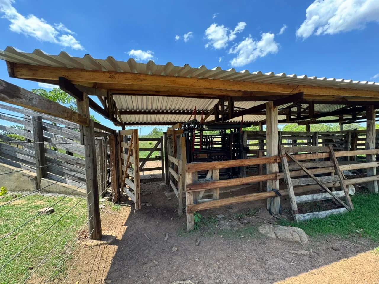 🌾 FAZENDA À VENDA – 79,3 HECTARES, ENTRE PALMAS E PORTO NACIONAL/TO — Miniatura 15