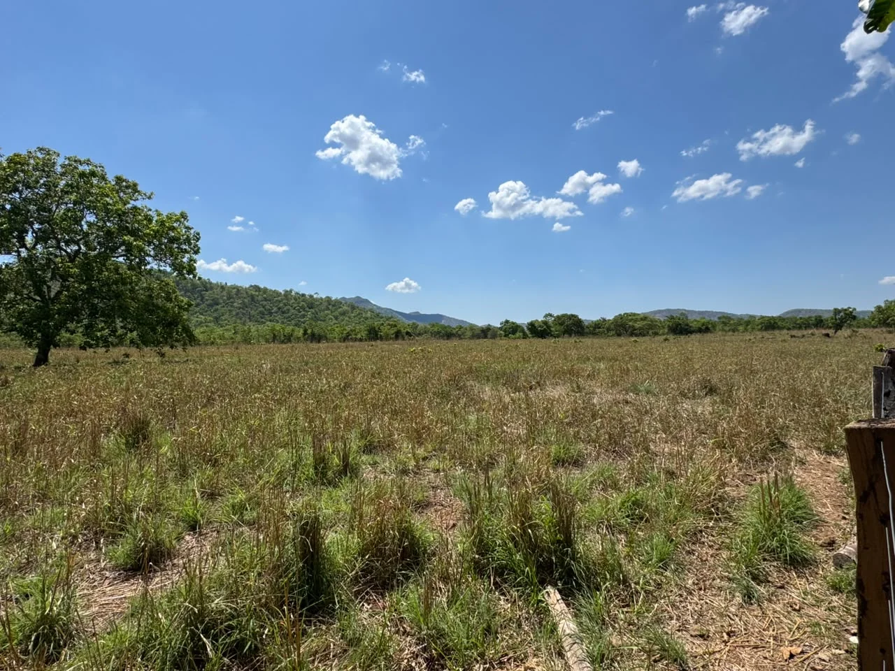 🌾 FAZENDA À VENDA – 79,3 HECTARES, ENTRE PALMAS E PORTO NACIONAL/TO — Miniatura 12