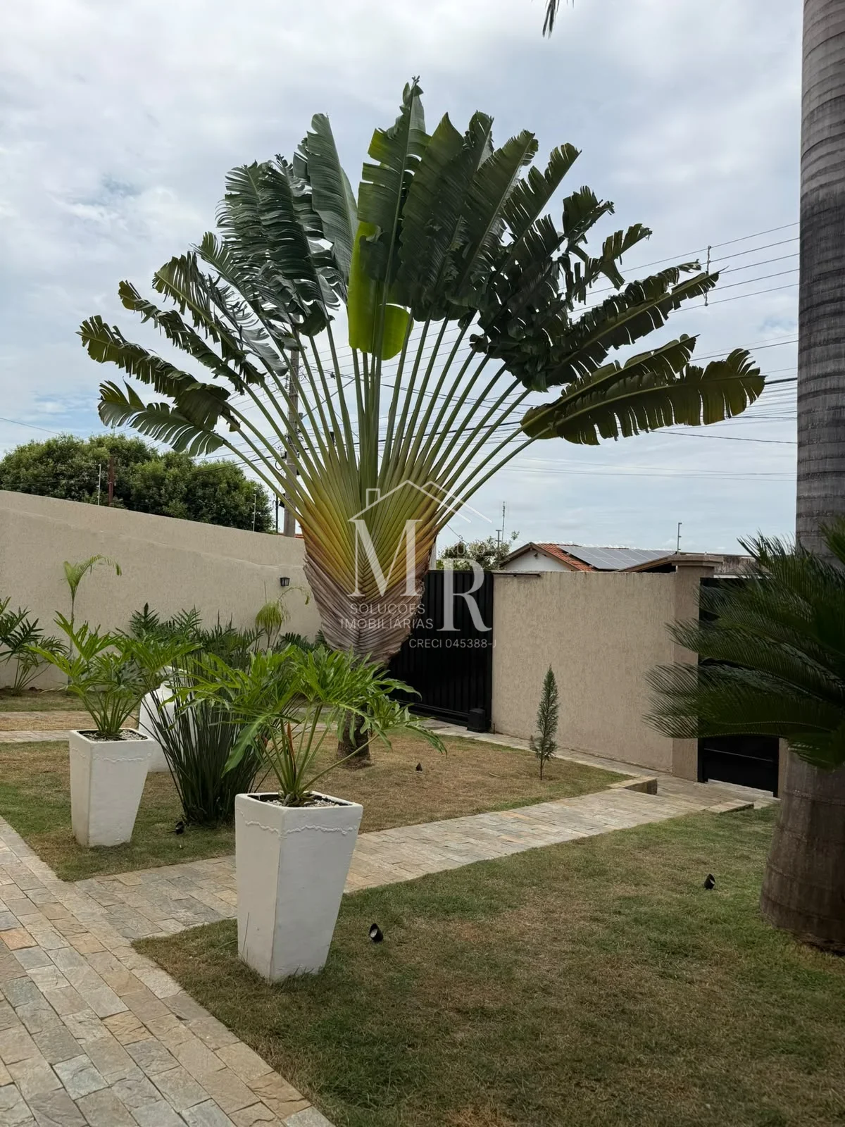 Casa 5 Suítes para Alugar no San Remo Votuporanga SP